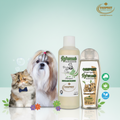 Shampoo Refrescante Suavizante