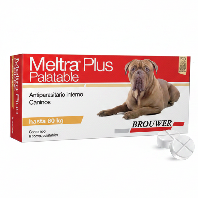 Meltra Plus palatable